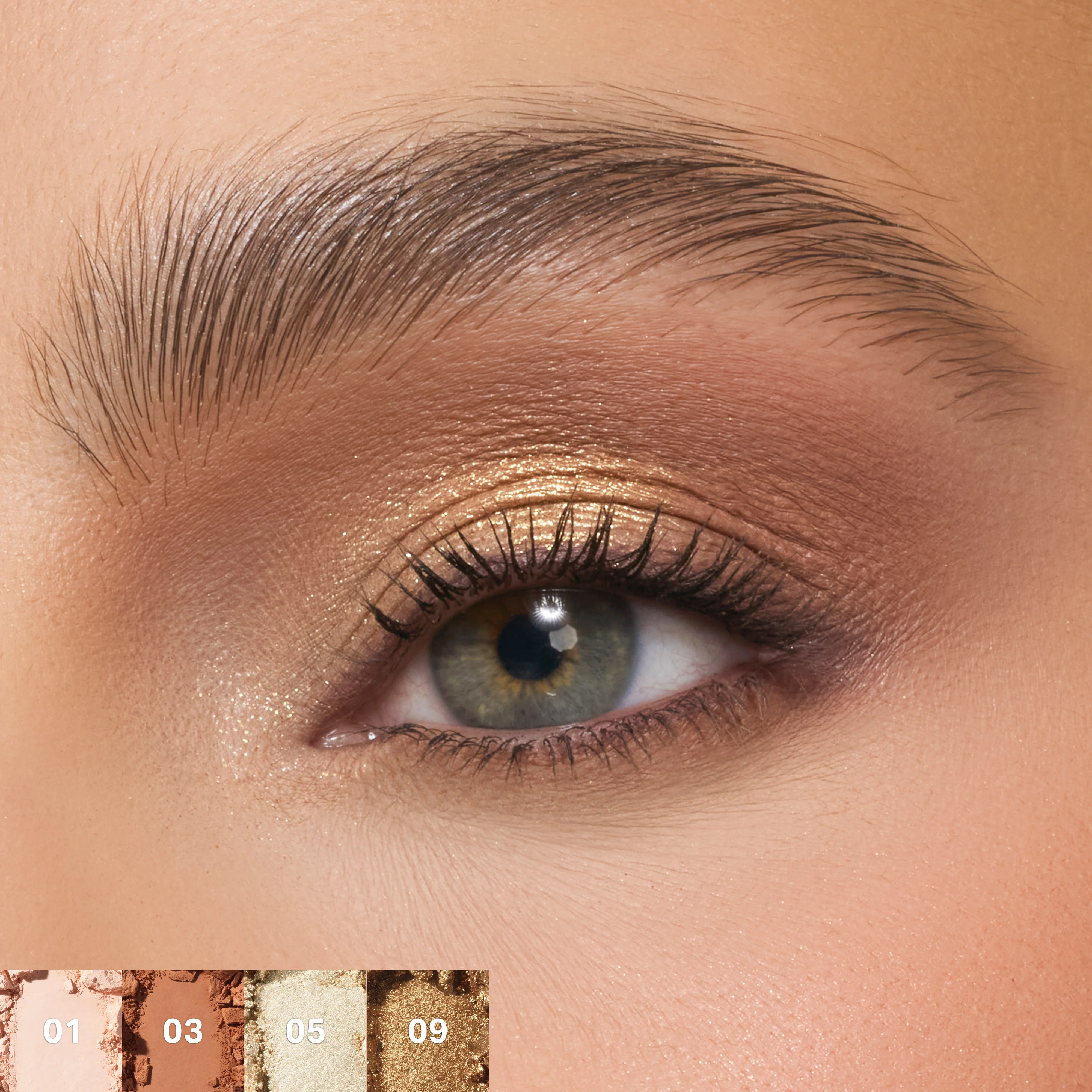 ChromaPlus 12-Pan Eyeshadow Palette - Image 15