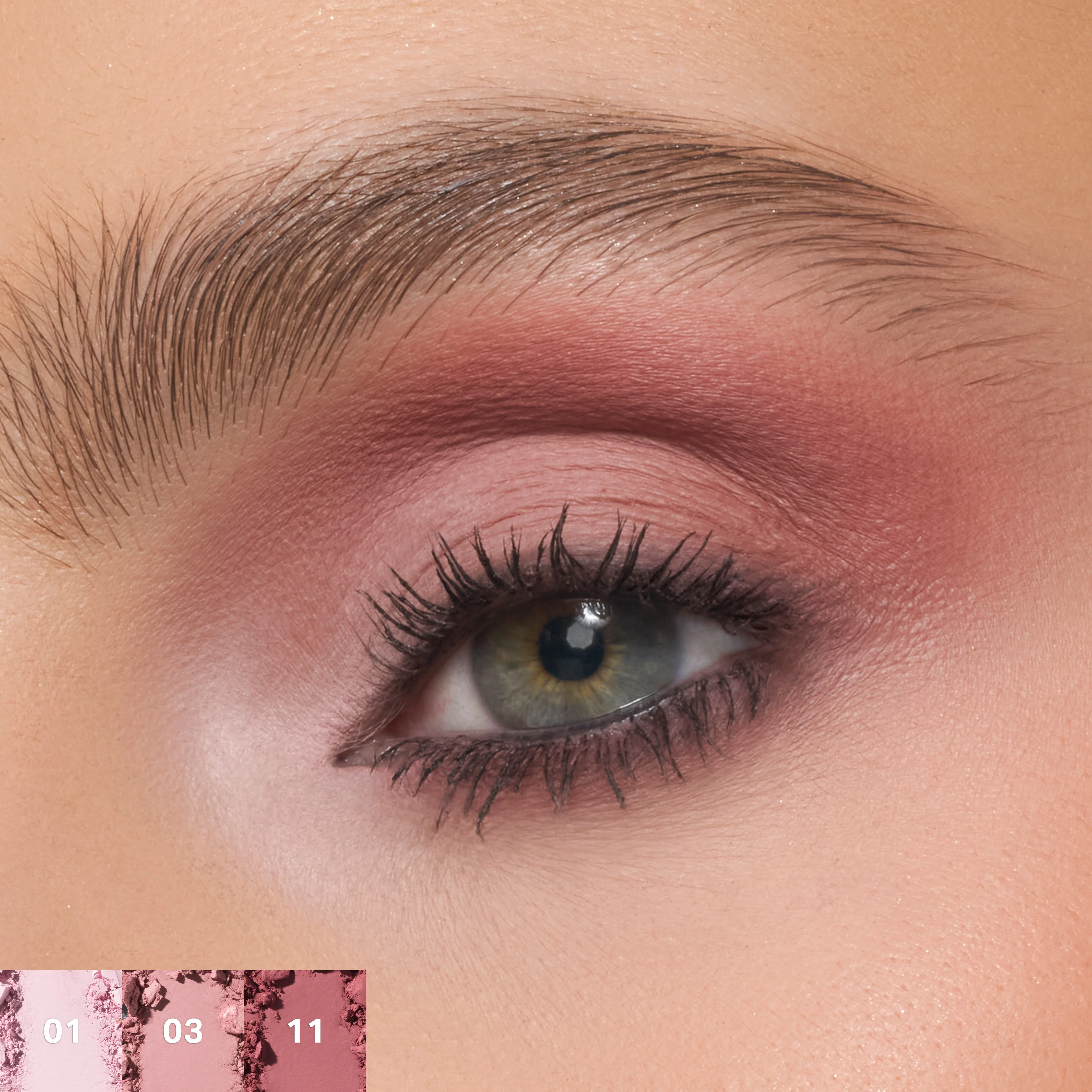 ChromaPlus 12-Pan Eyeshadow Palette - Image 19
