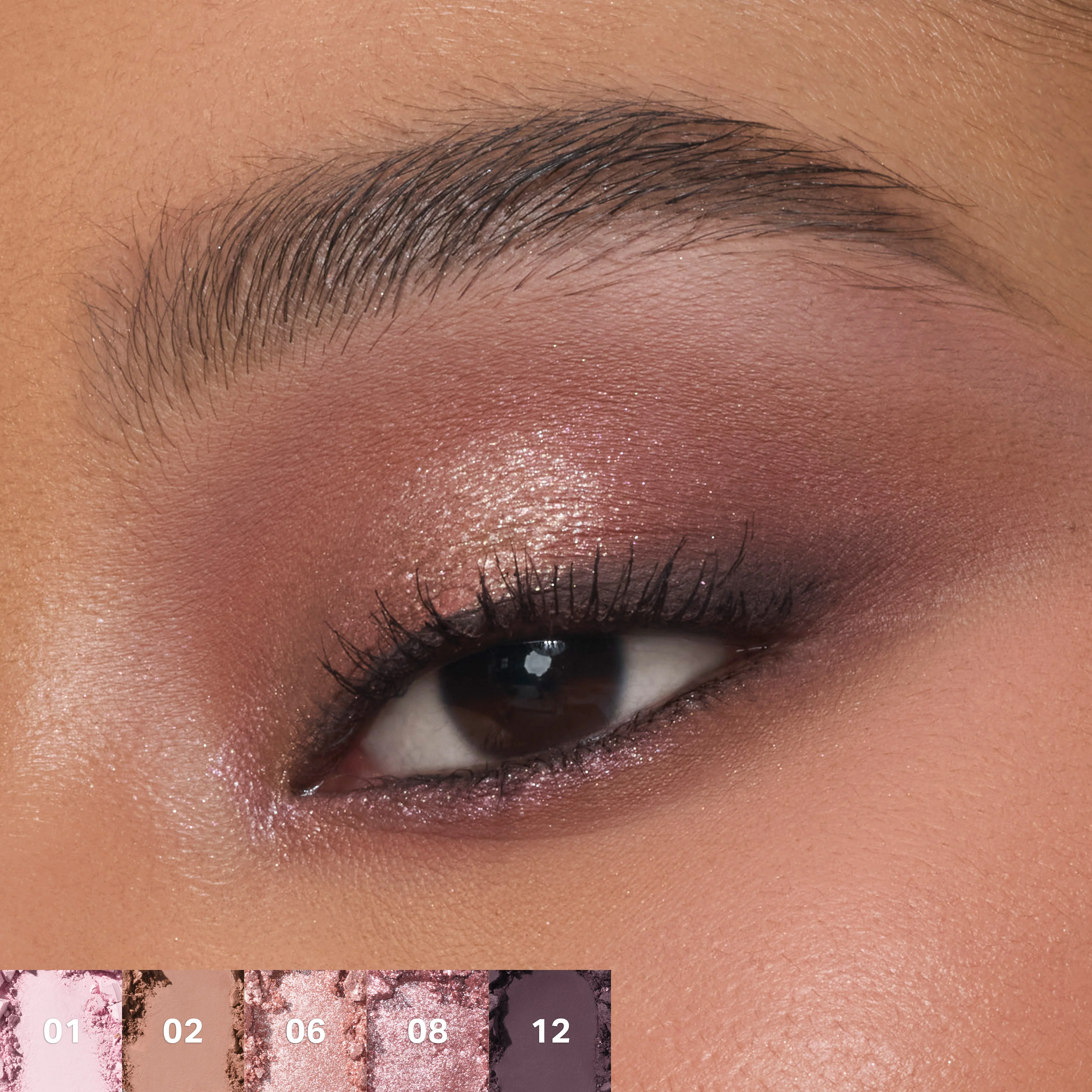 ChromaPlus 12-Pan Eyeshadow Palette - Image 20