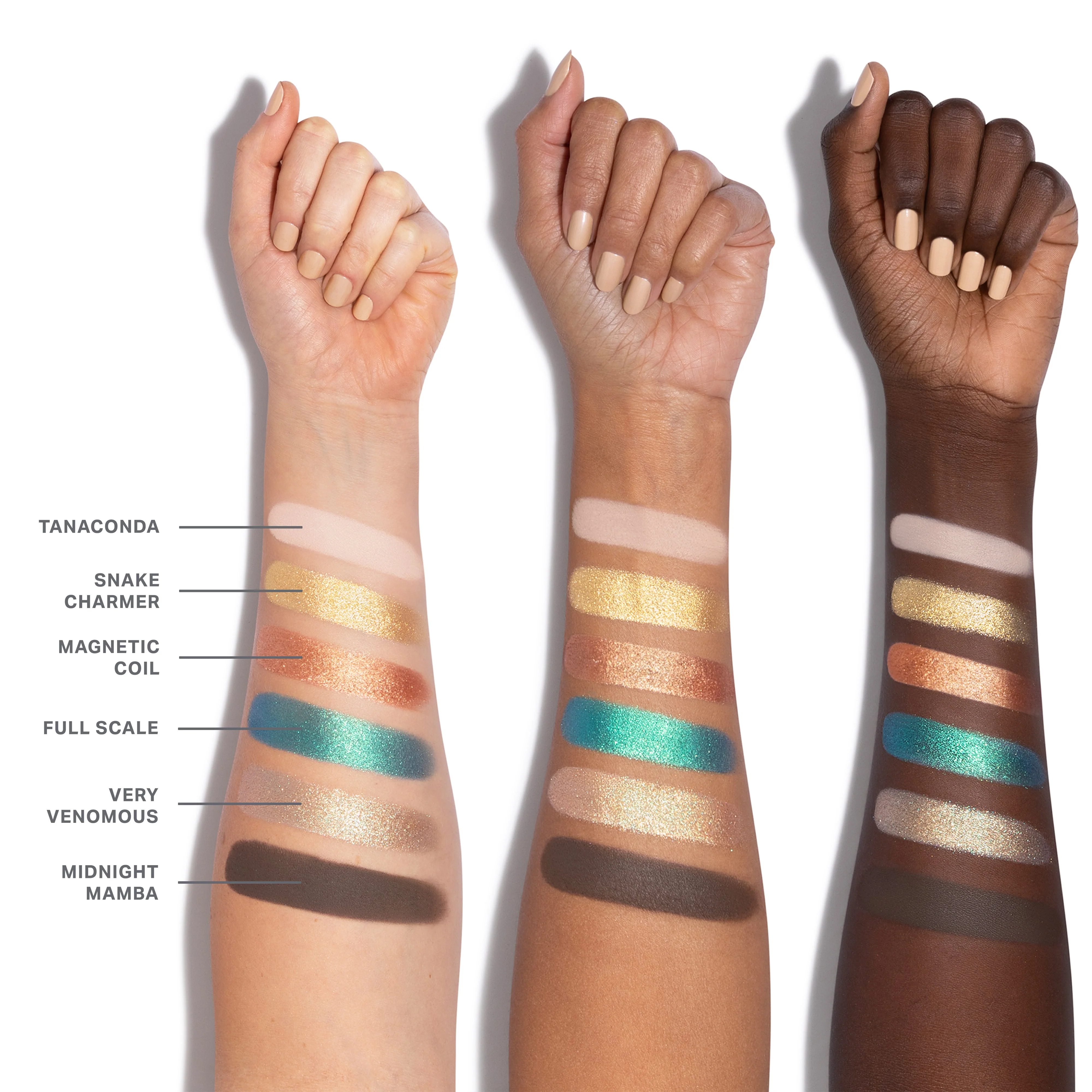 ChromaPlus 6-Pan Eyeshadow Palette - Image 11